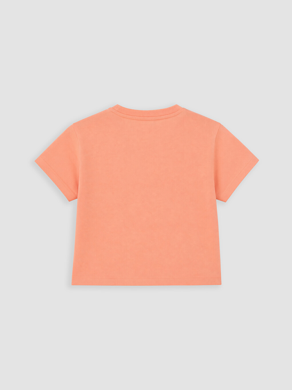 T-shirt À Col Rond À Motif Floral Pour Bébé Fille, Lot De 2-3