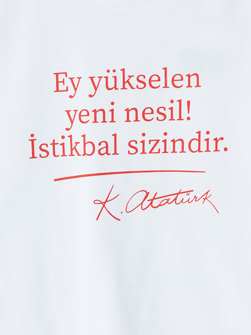 Ekru Atatürk Baskılı Erkek Çocuk Tişört-2