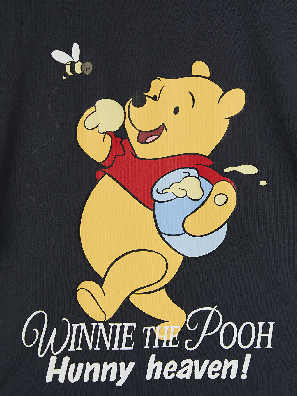 Antrasit Winnie the Pooh Baskılı Kadın Tişört-3