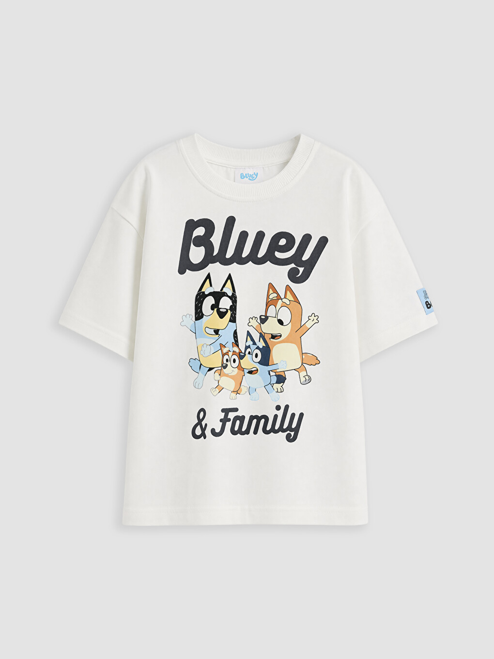 Beyaz Bluey Baskılı Erkek Çocuk Takım-1