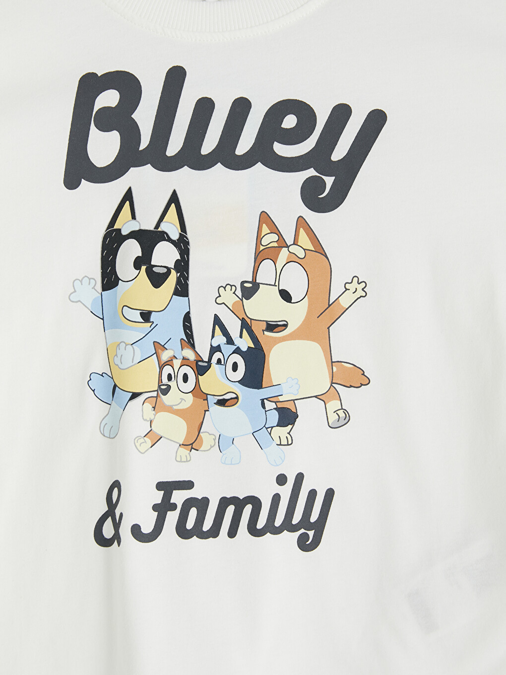Beyaz Bluey Baskılı Erkek Çocuk Takım-2