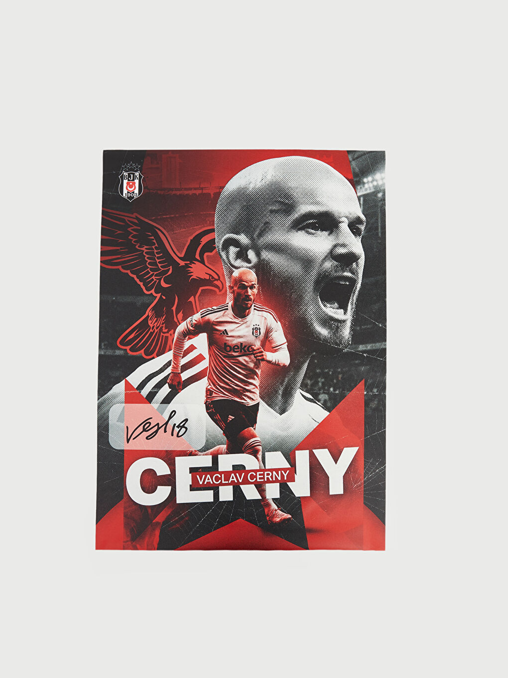 Karışık Václav Černy İmzalı Statik Poster-1