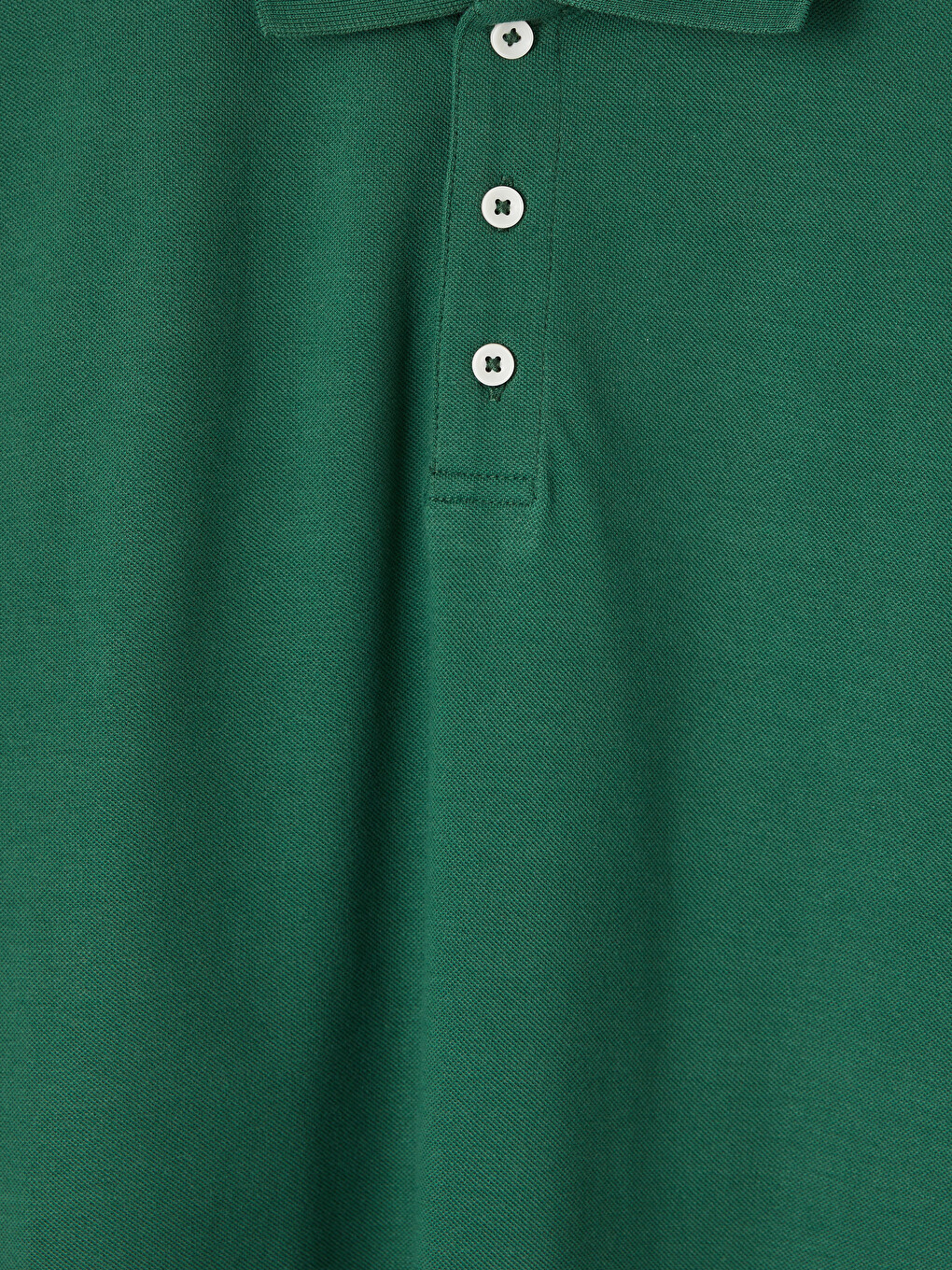 Polo Collar Standard Fit Men's T-shirt-5
