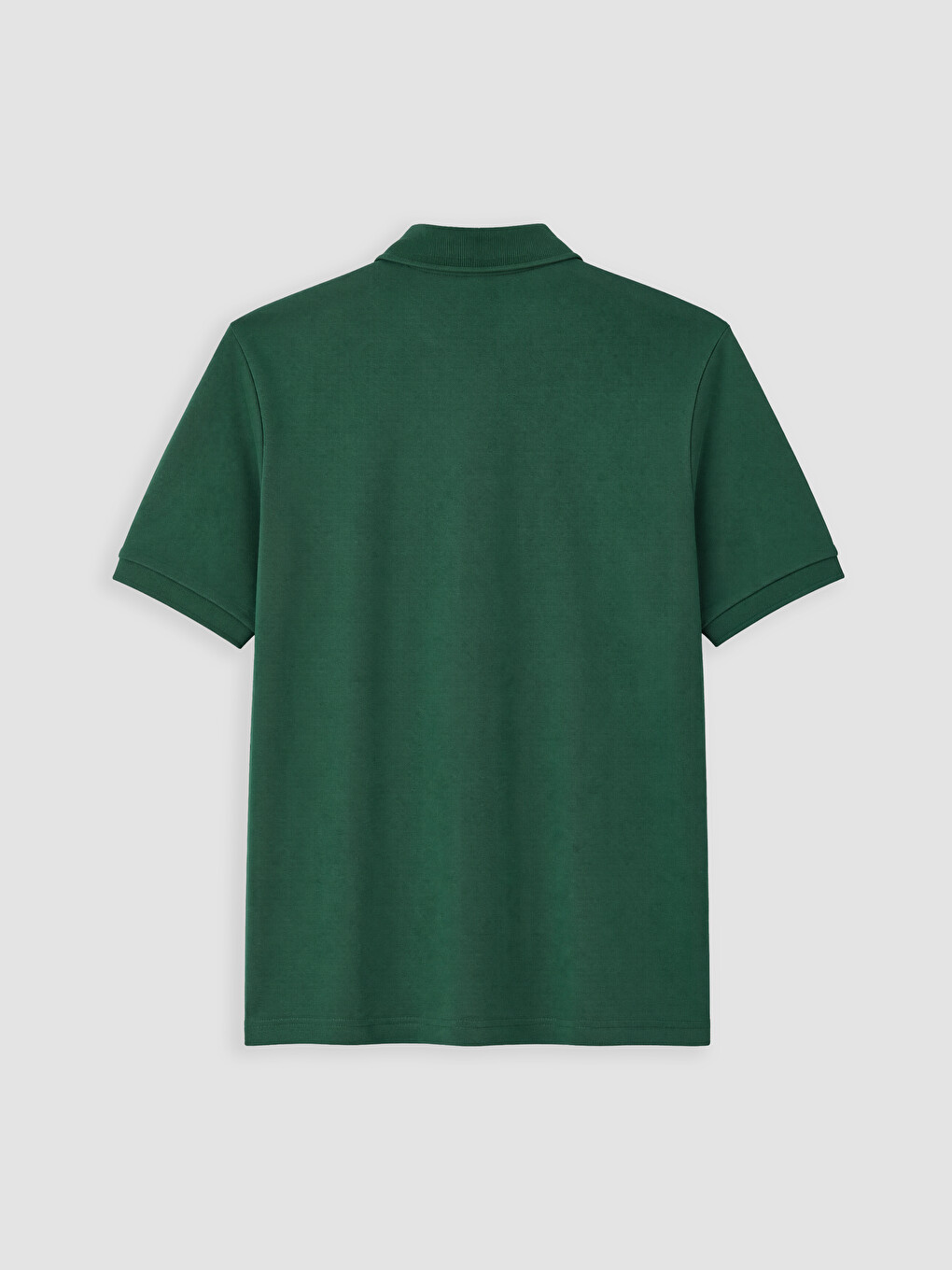 Polo Collar Standard Fit Men's T-shirt-6