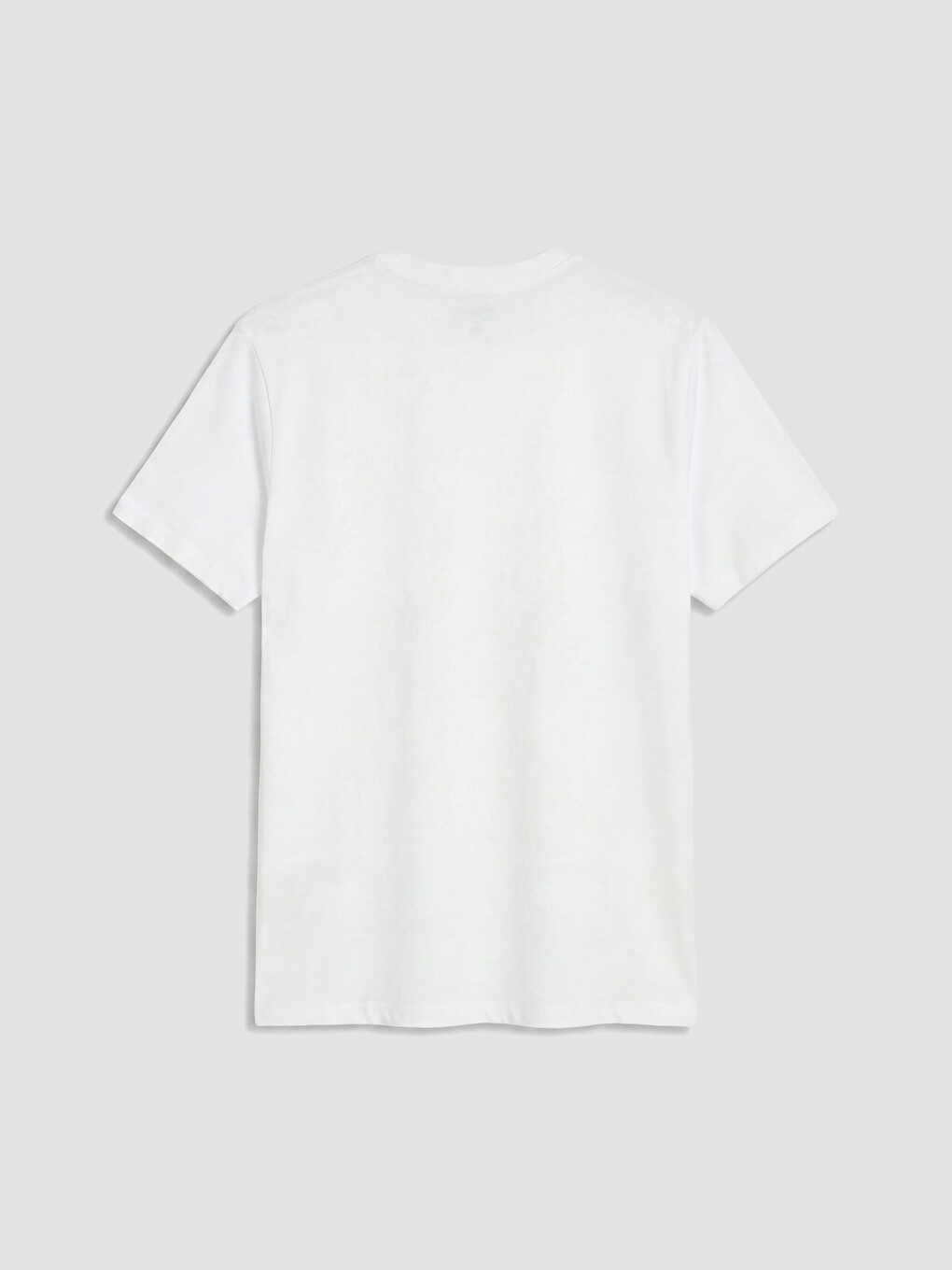 Crew Neck Turkey Printed Men's T-Shirt-6