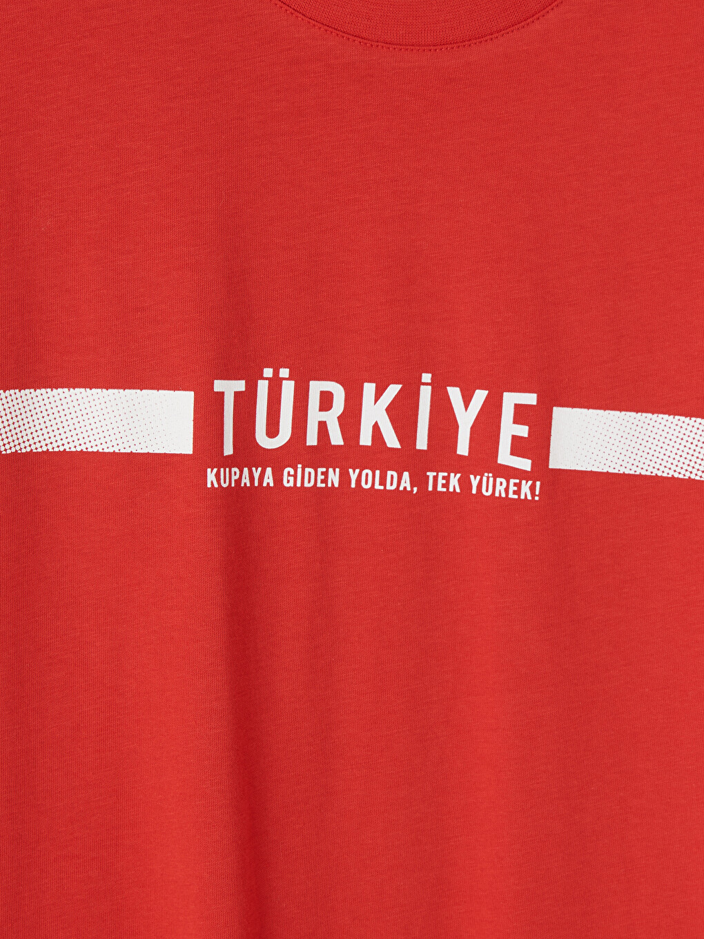 Crew Neck Turkey Printed Men's T-Shirt-3