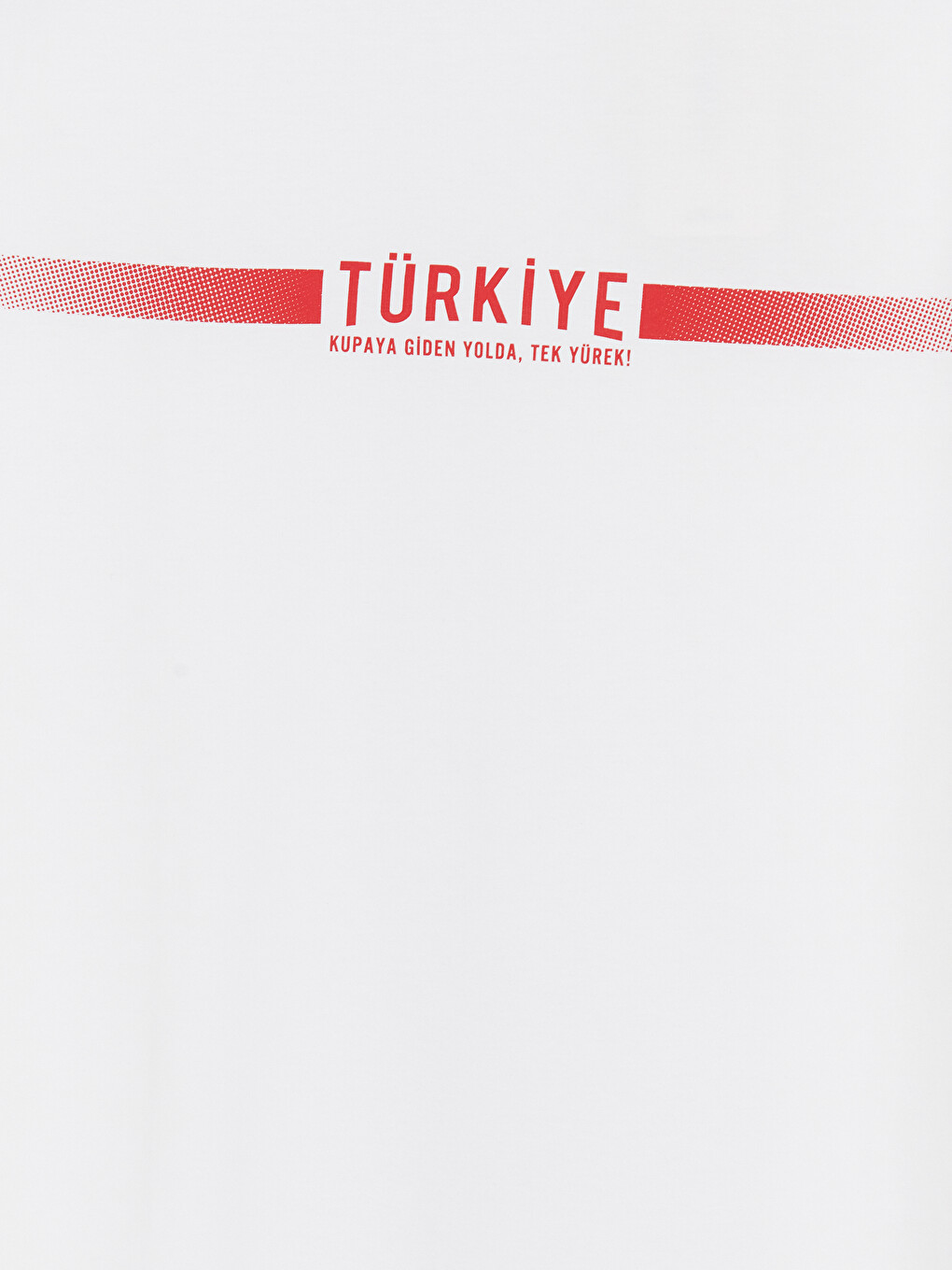 Crew Neck Turkey Printed Men's T-Shirt-5