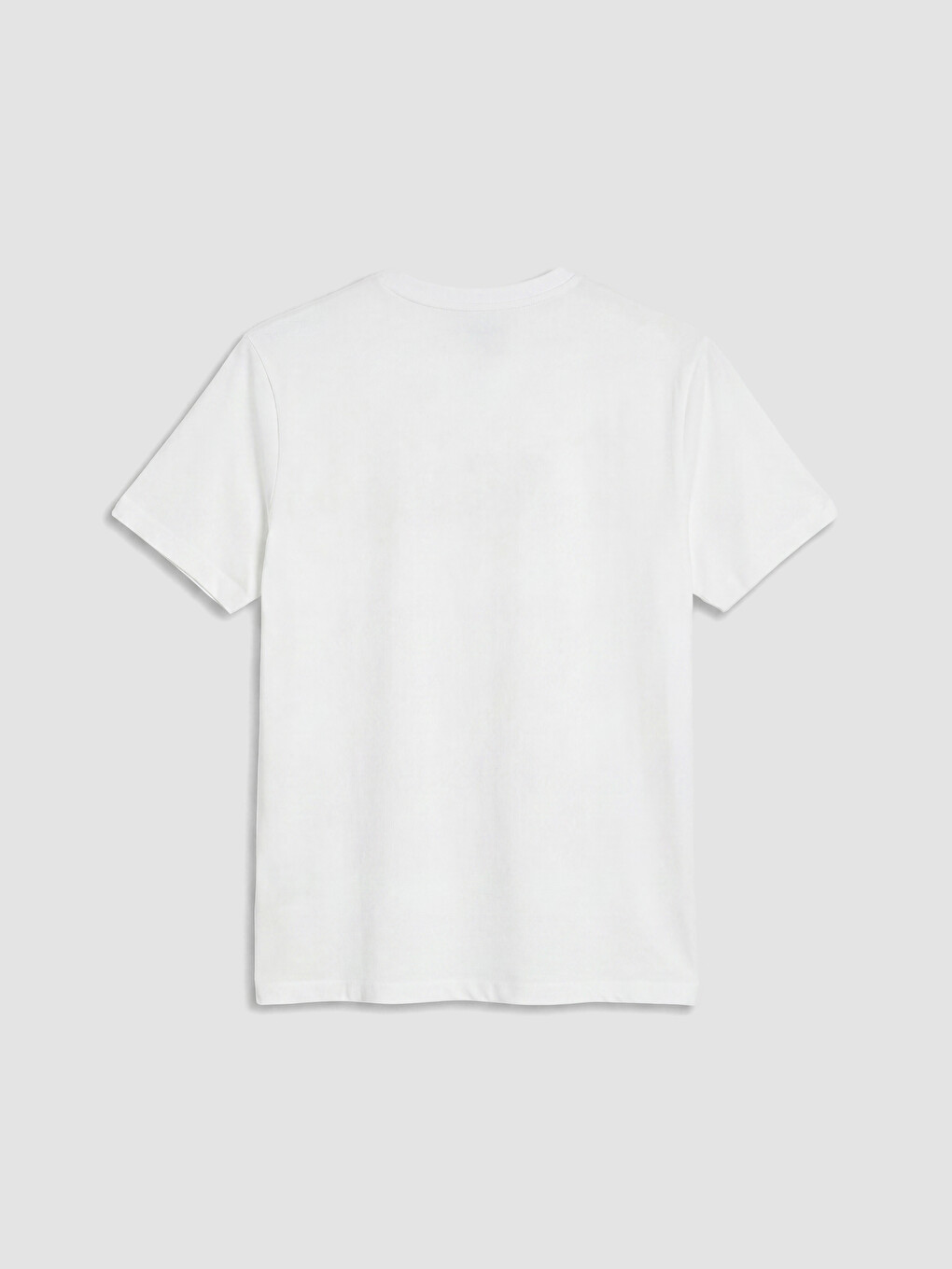 Crew Neck Turkey Printed Men's T-Shirt-6