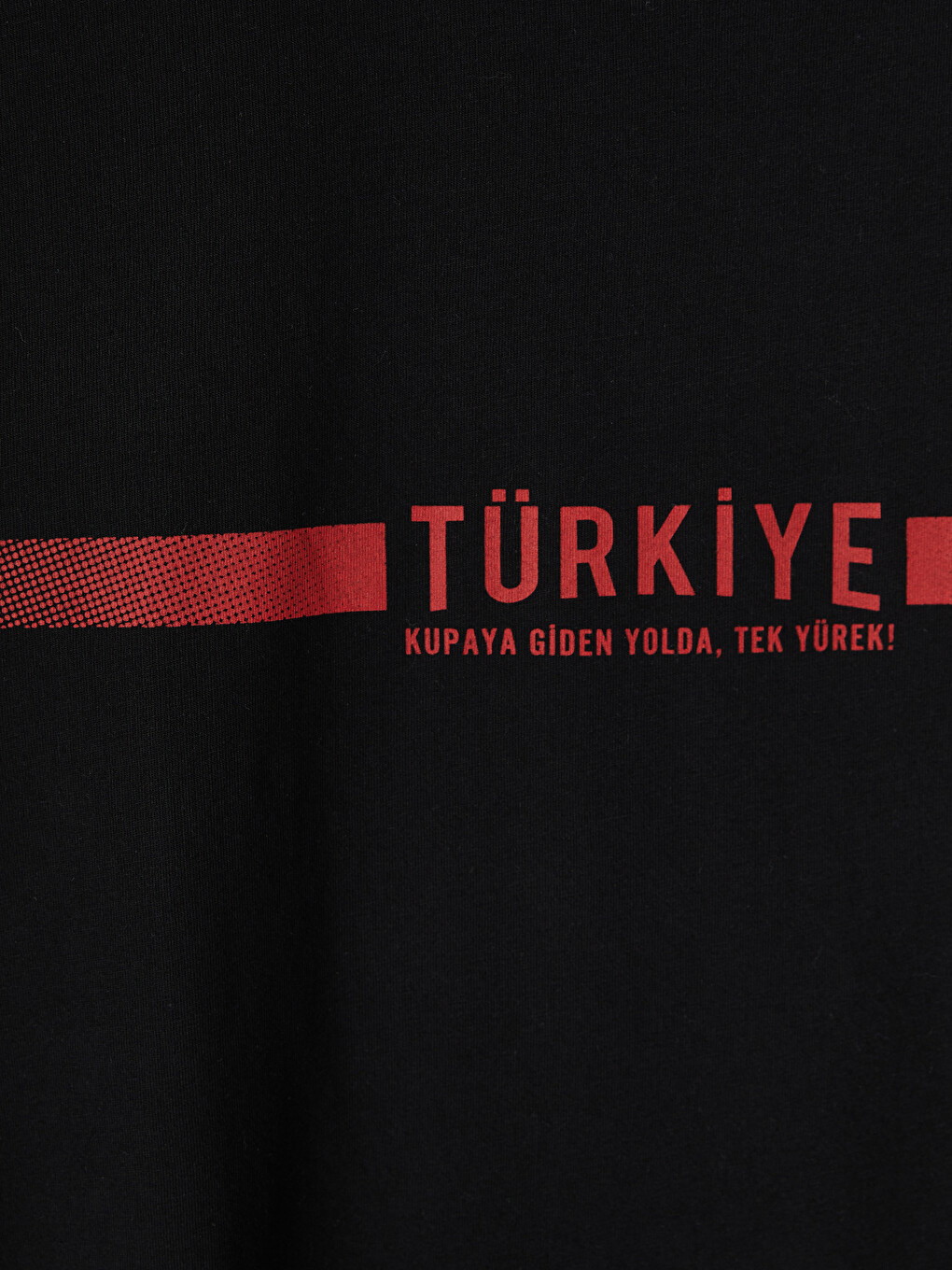 Turkey Printed Standard Fit Men's T-shirt-4