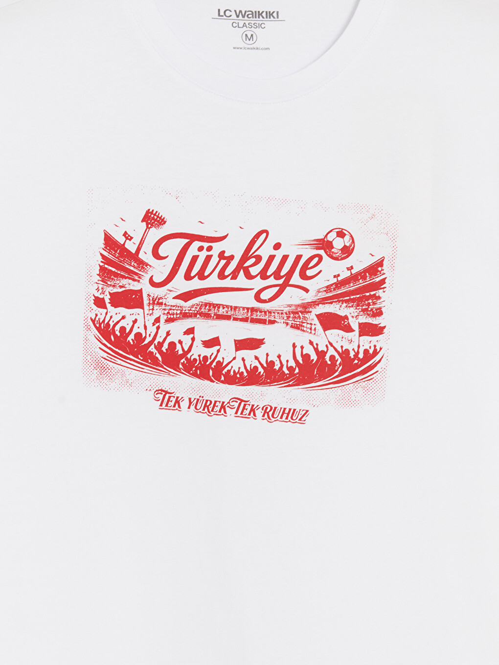 Crew Neck Turkey Printed Men's T-Shirt-5