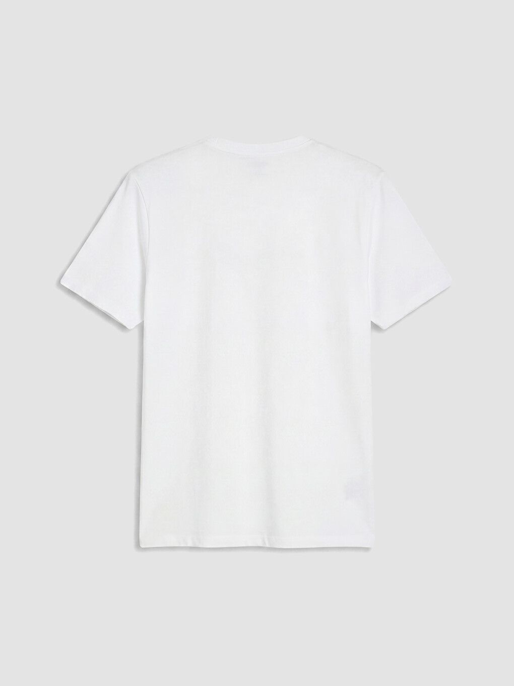 Crew Neck Turkey Printed Men's T-Shirt-6