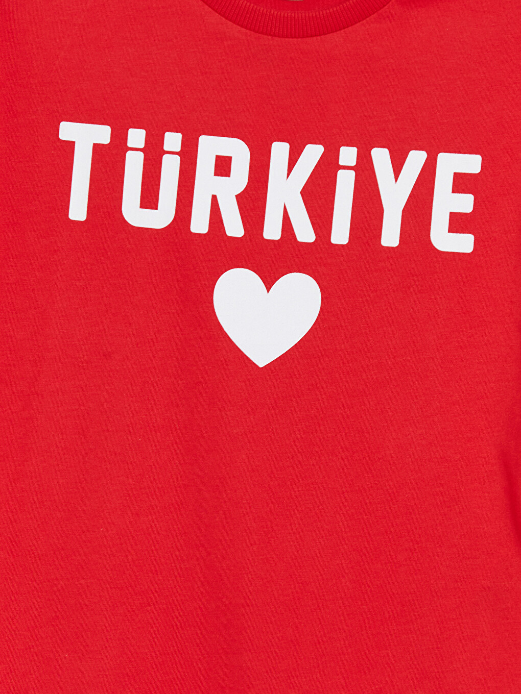 Turkey Printed Girls' T-Shirt-2