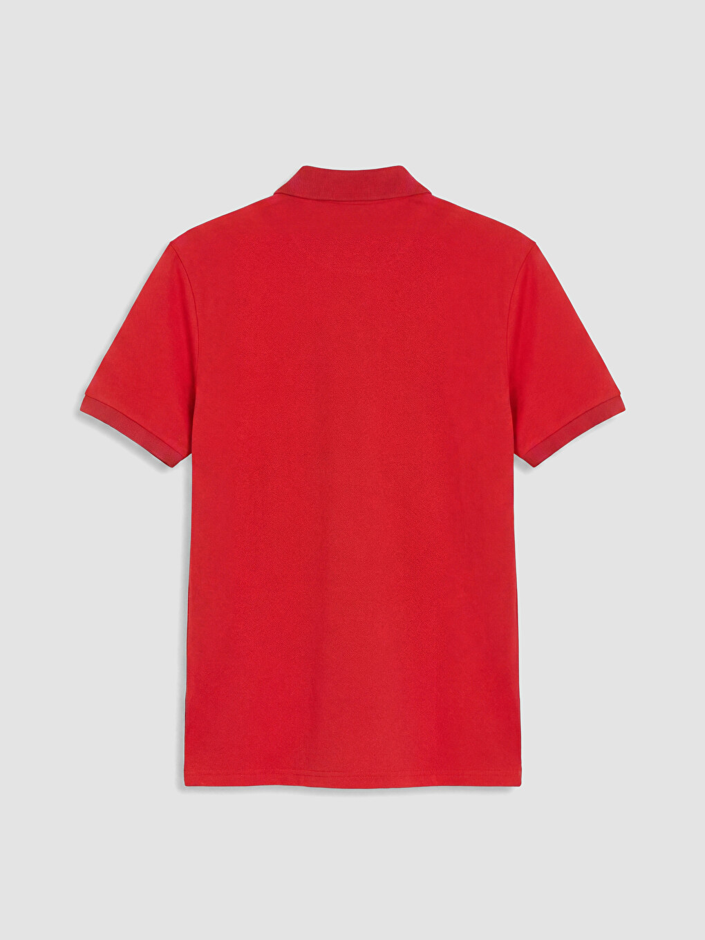 Kırmızı Polo Yaka Türkiye Baskılı Erkek Tişört-3