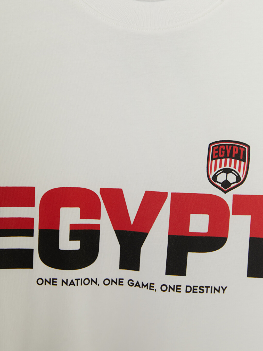 Crew Neck Egypt Printed Men's T-Shirt-6