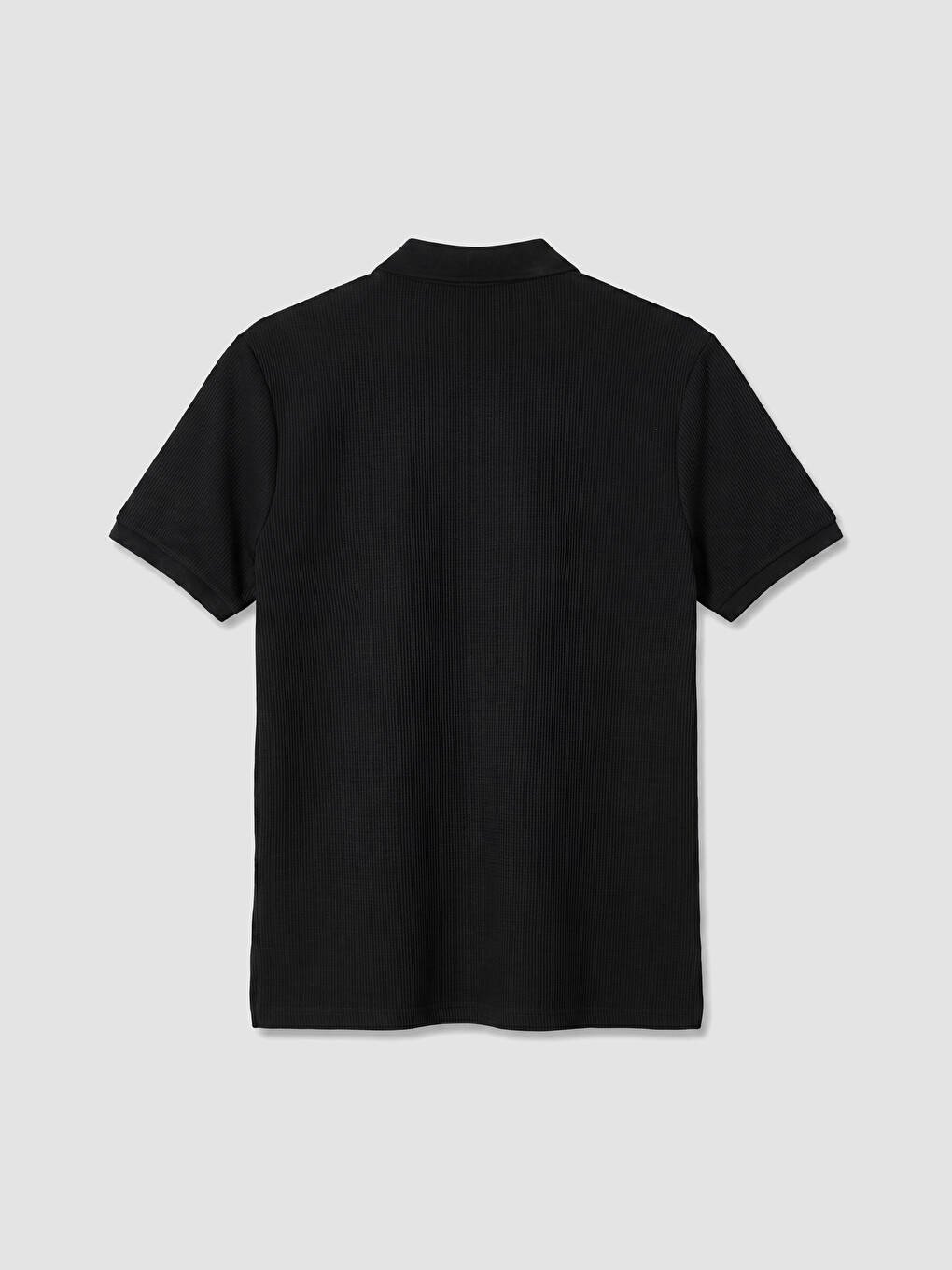 Siyah Polo Yaka Nakışlı Erkek Tişört-6