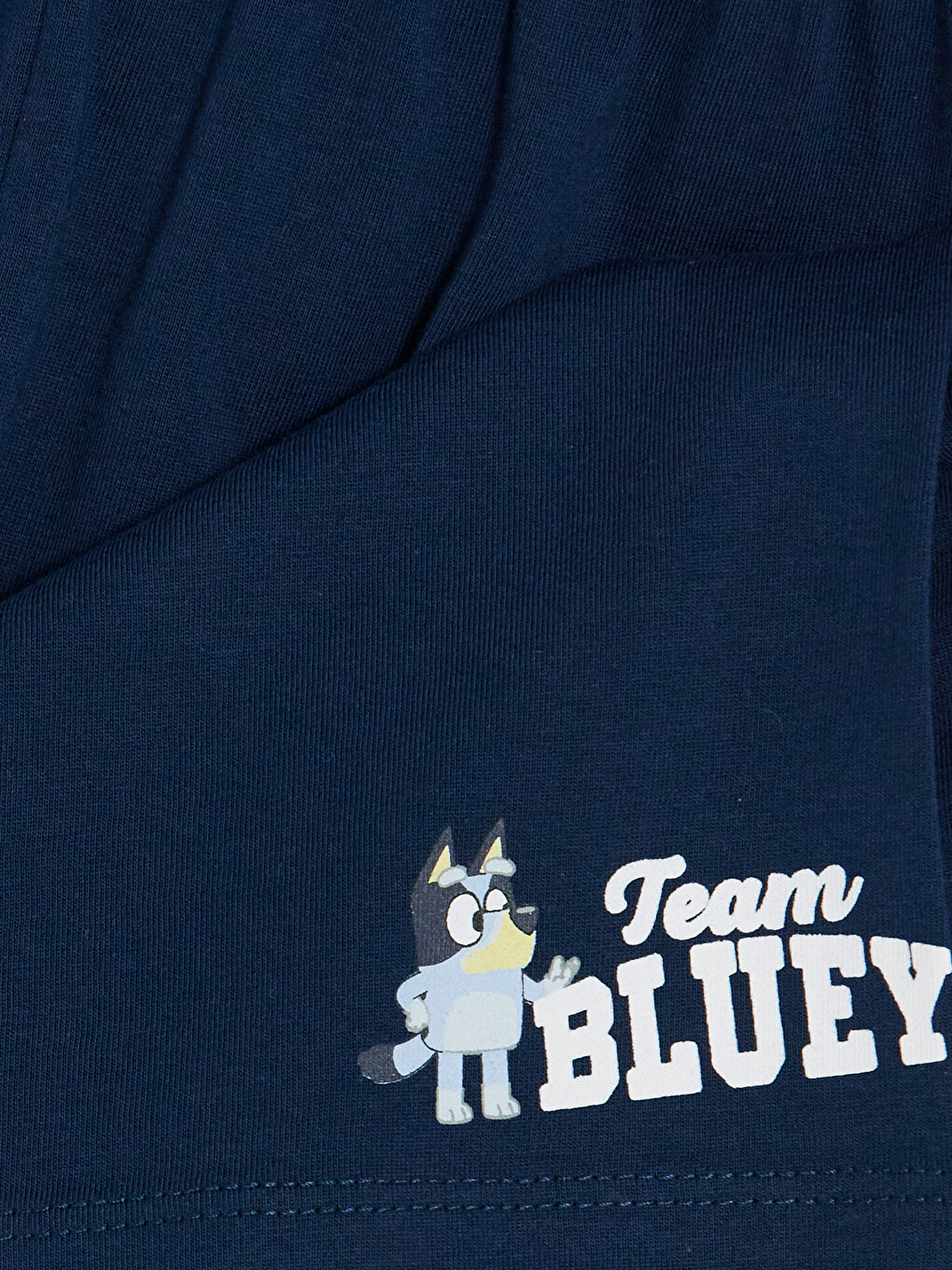 Mavi Bluey Baskılı Erkek Çocuk Pijama Takımı-5