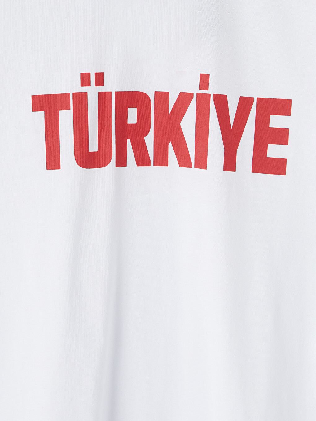 Crew Neck Turkey Printed Men's T-shirt-5