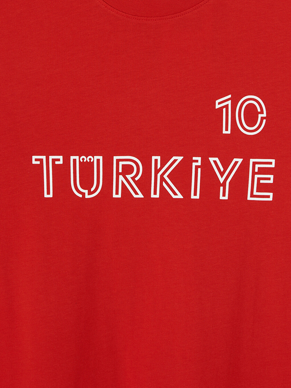 Turkey Printed Crew Neck Men's T-Shirt-2