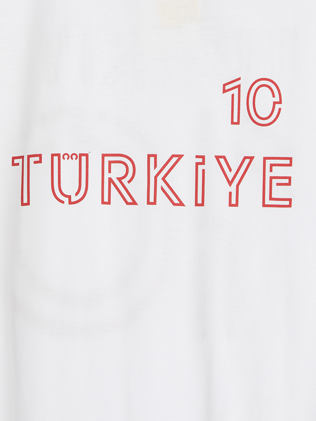 Crew Neck Turkey Printed Men's T-Shirt-3