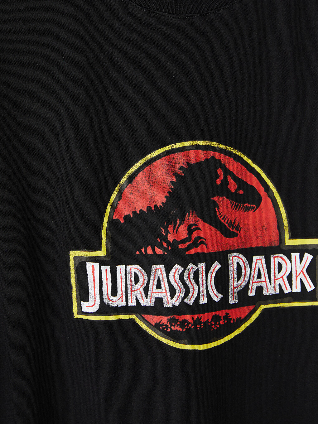 Siyah Bisiklet Yaka Jurassic Park Baskılı Erkek Tişört-2