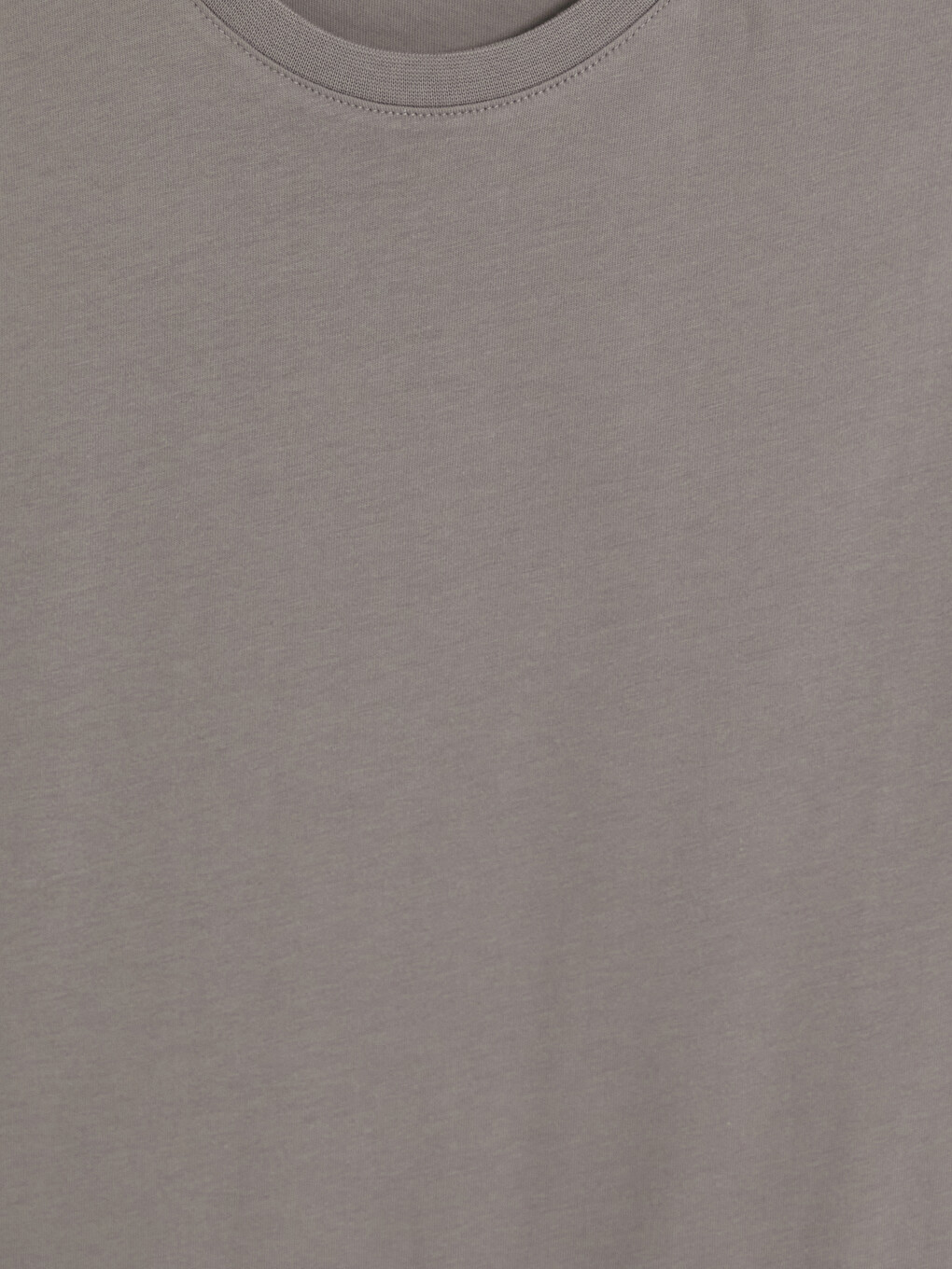 Regular Fit %100 Cotton Men's T-shirt-1