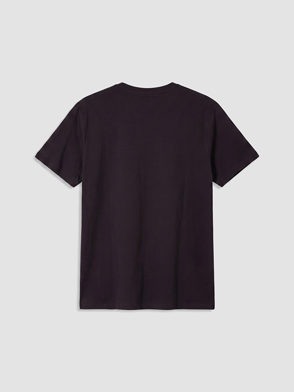 Kahverengi Regular Fit %100 Pamuk Erkek Tişört-2