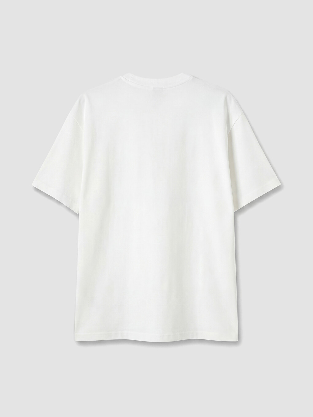 Beyaz Loose Fit Bisiklet Yaka Baskılı Erkek Tişört-6