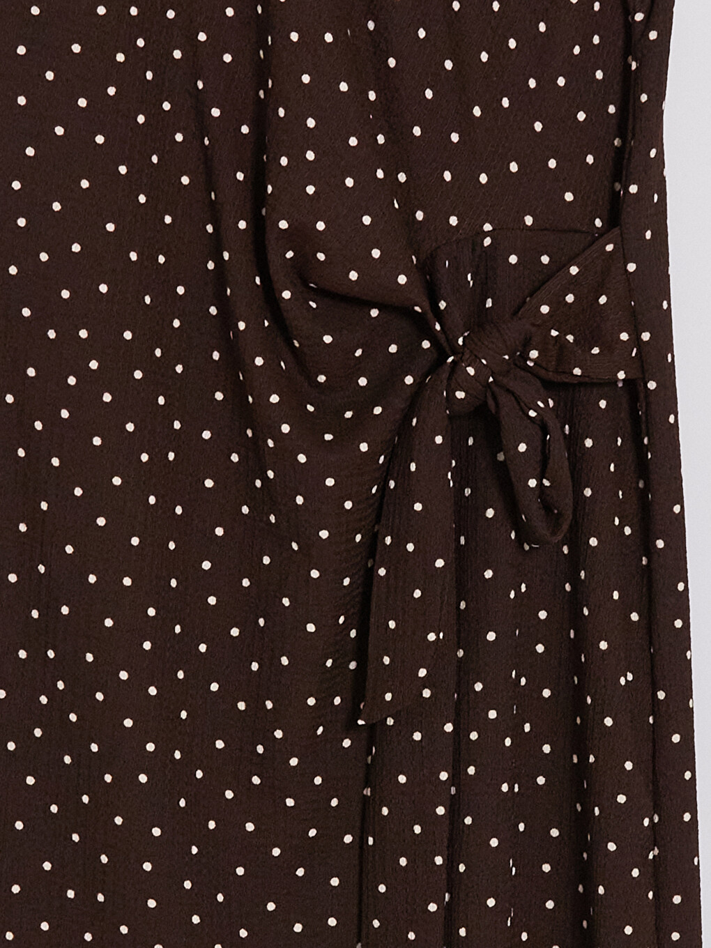 Polka Dot Fitted Waist Dress-5