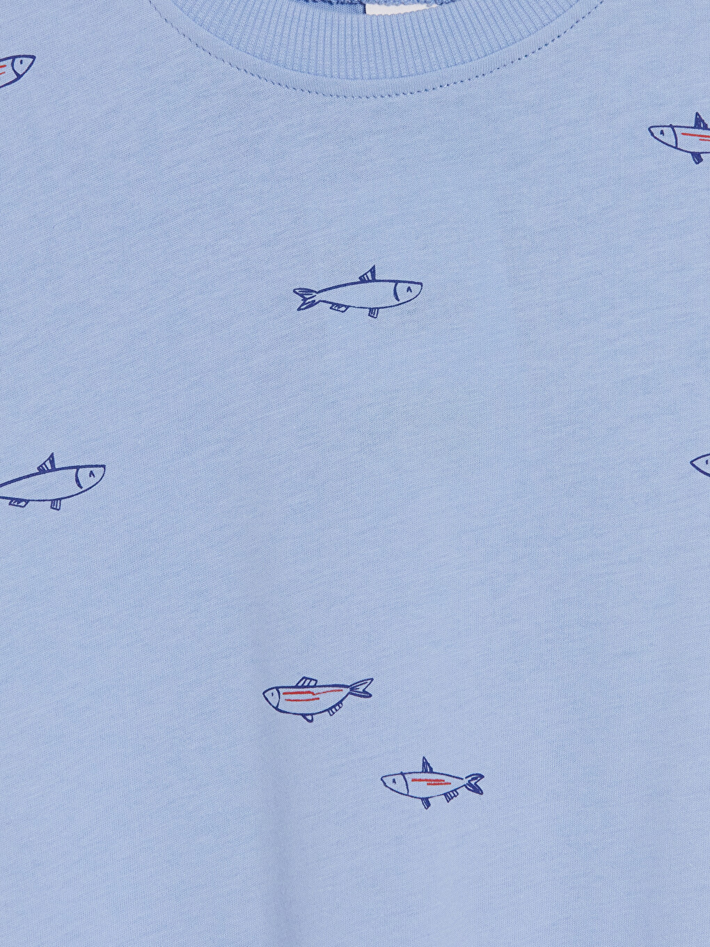 Boy Blue T-shirt-1