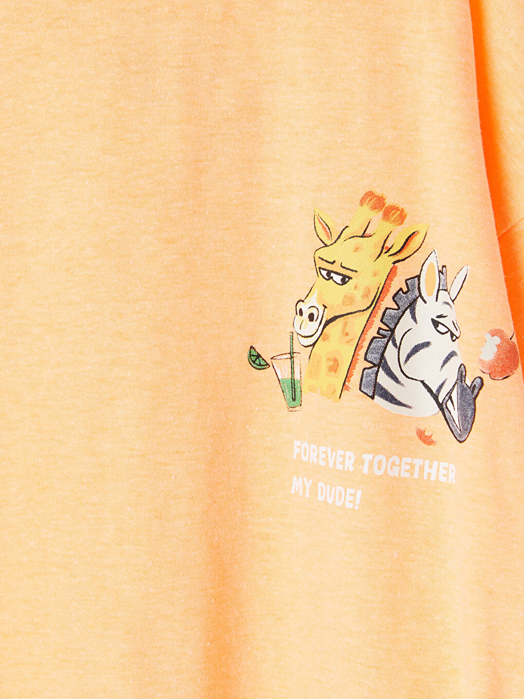 Crew Neck Printed Boys' T-shirt-1