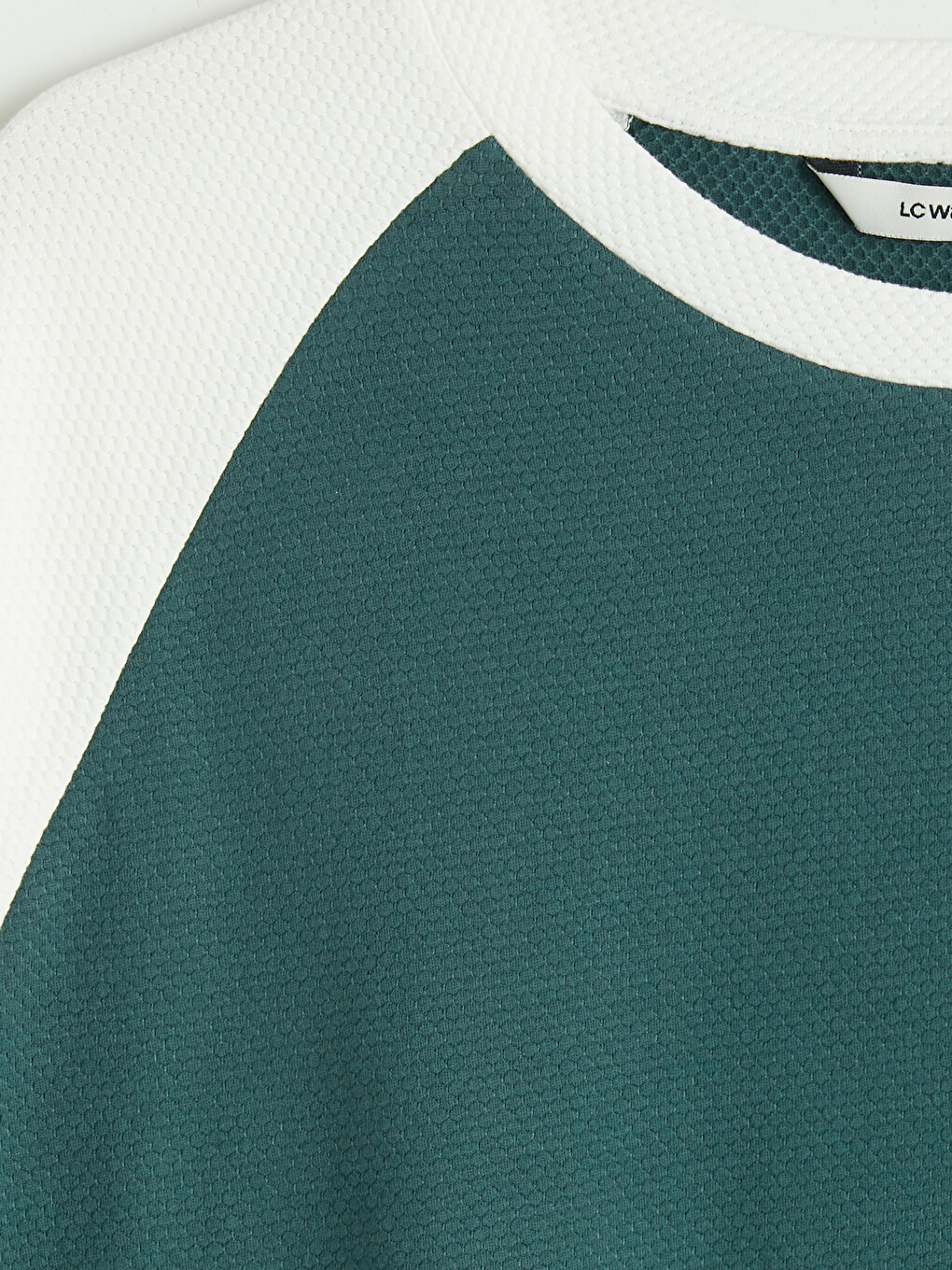Yeşil Relaxed Fit Bisiklet Yaka Reglan Kollu Erkek Tişört-5