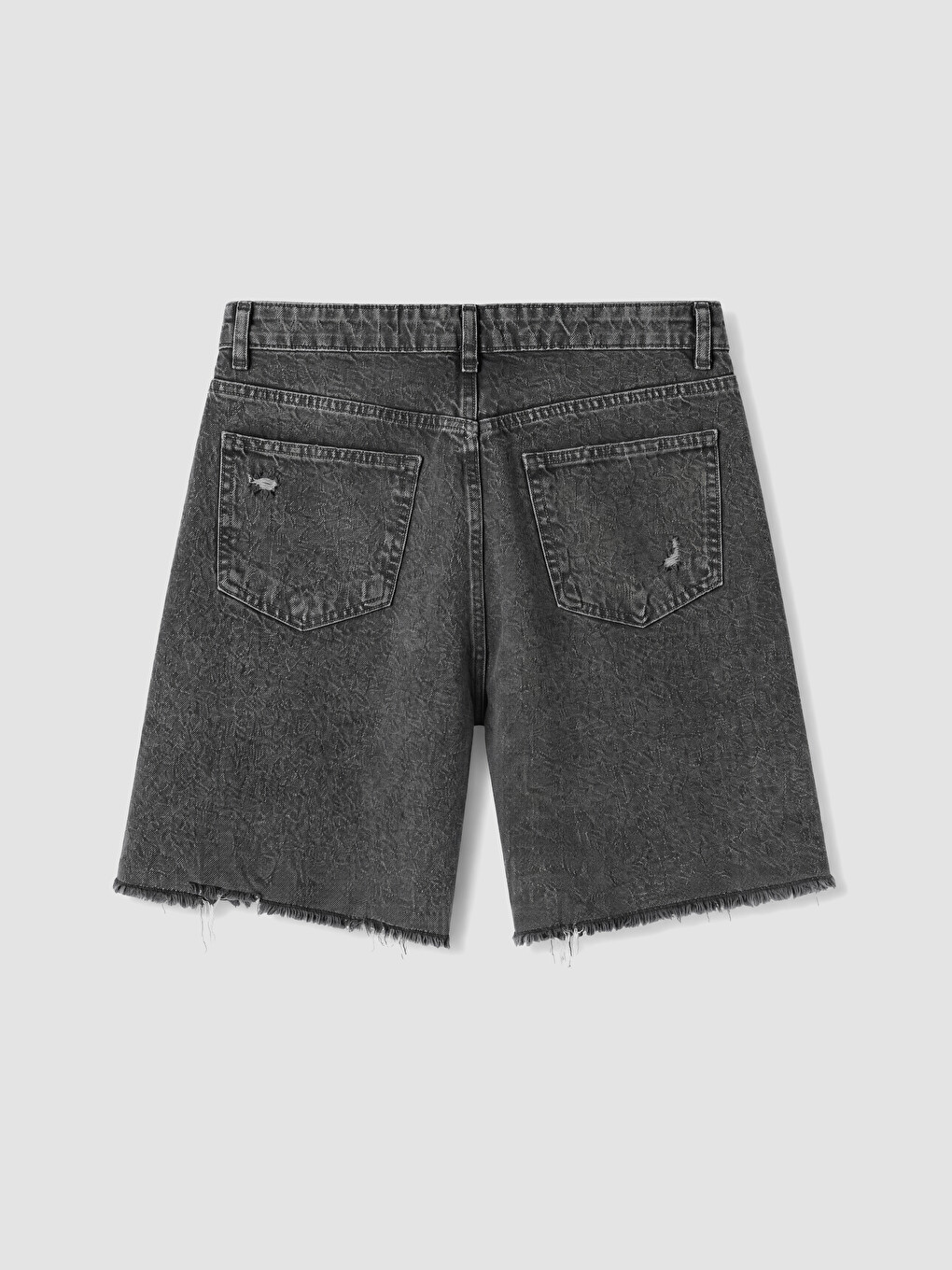Antrasit Regular Fit Erkek Jean Şort-2