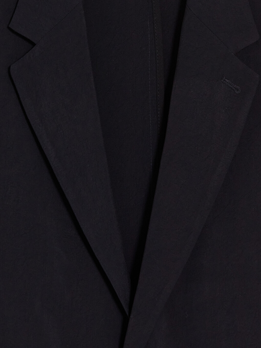 Siyah Regular Fit Erkek Blazer Ceket-1
