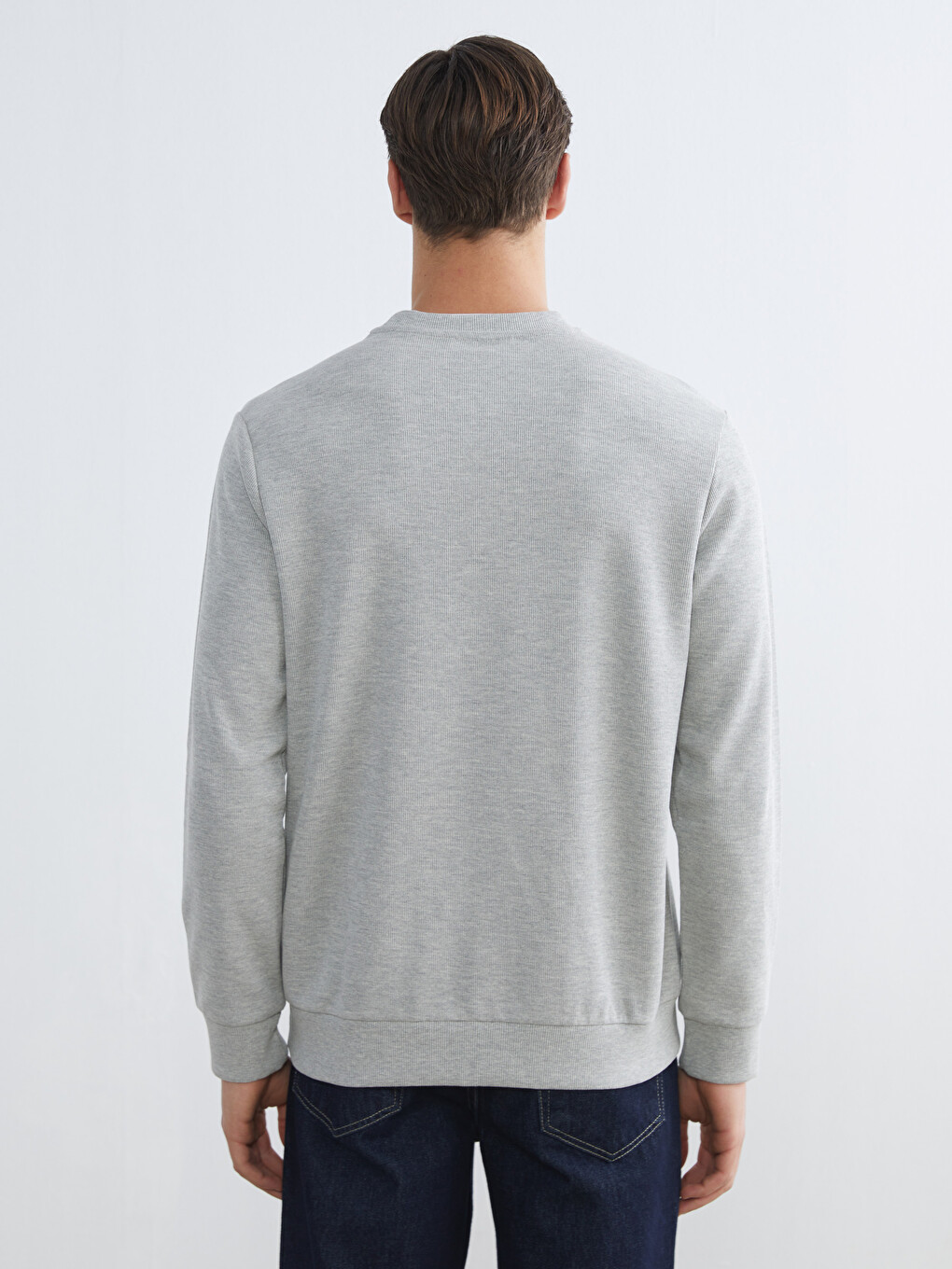 Crew Neck Long Sleeve Men's Sweatshirt-3