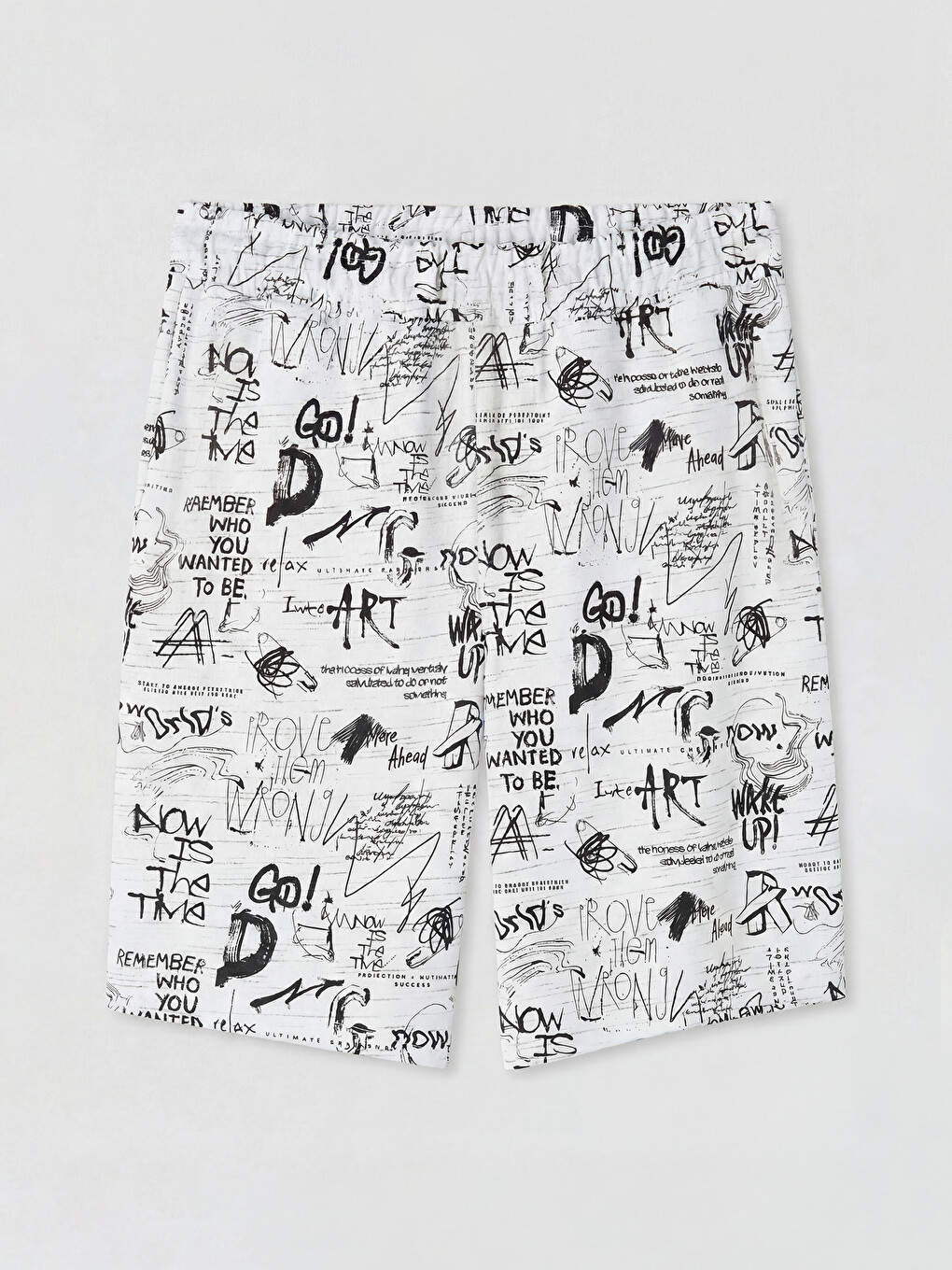 Standard Fit Men's Shorts-5