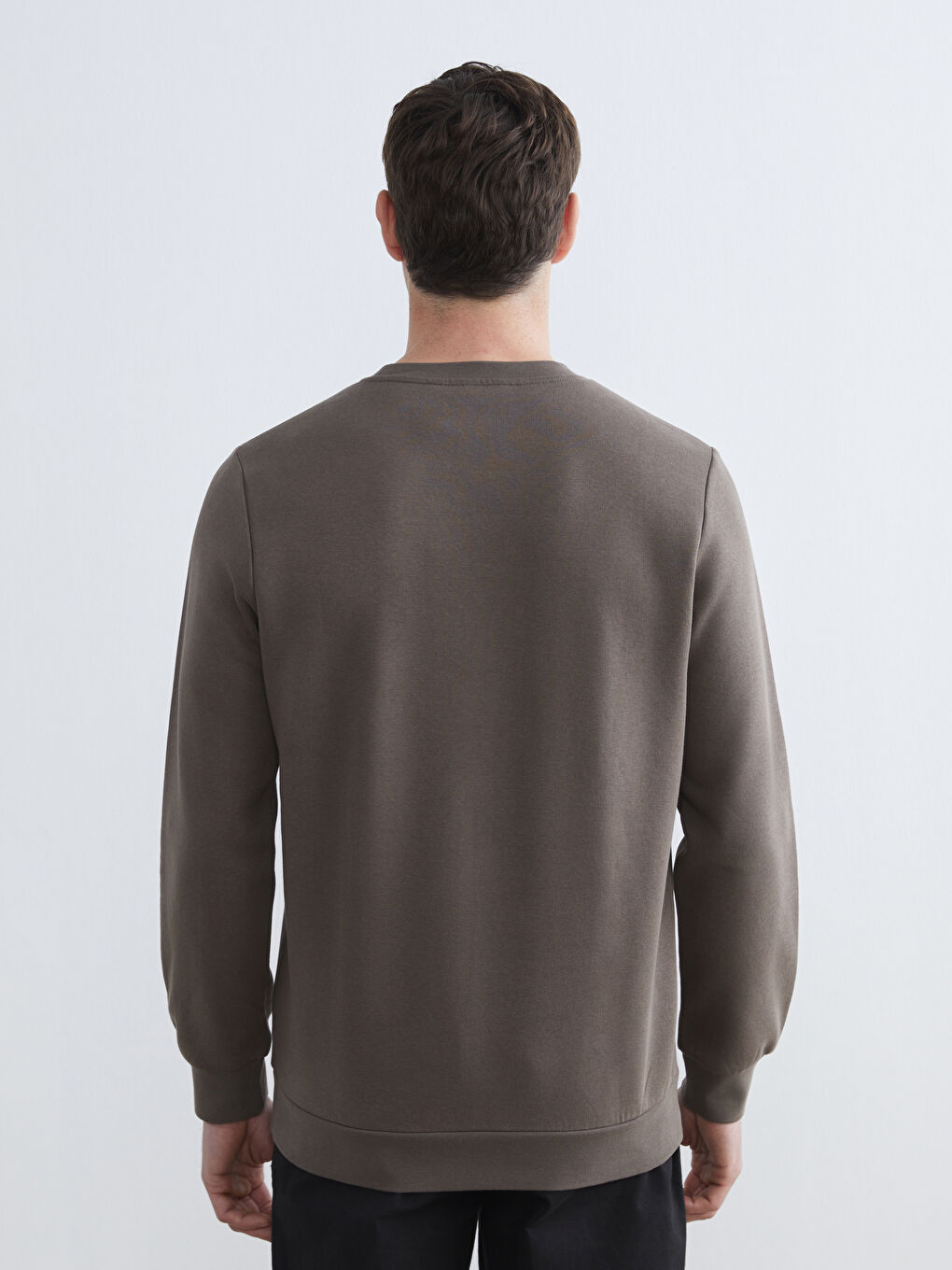 Crew Neck Men's Thick Sweatshirt-3