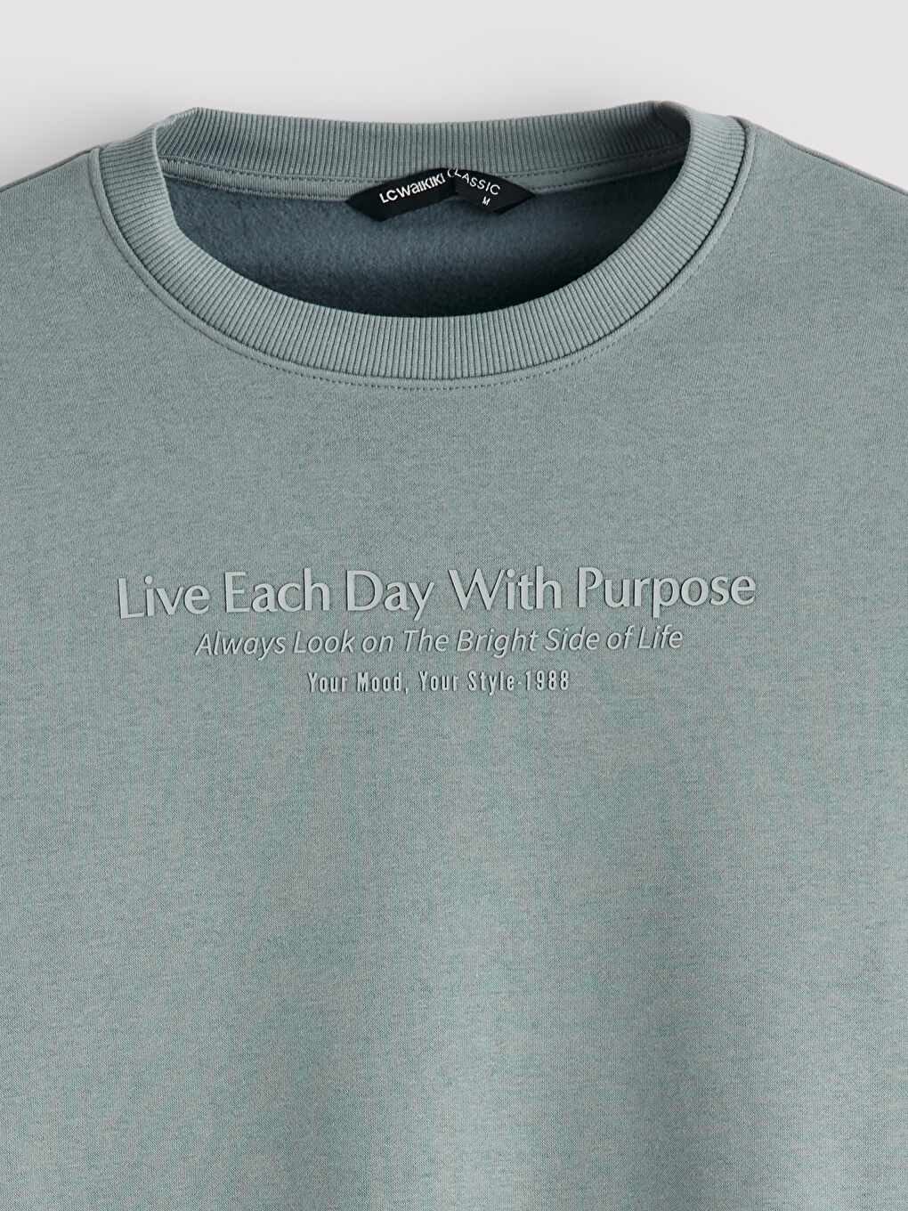 Men's Printed Regular Fit Crew Neck Sweatshirt-1