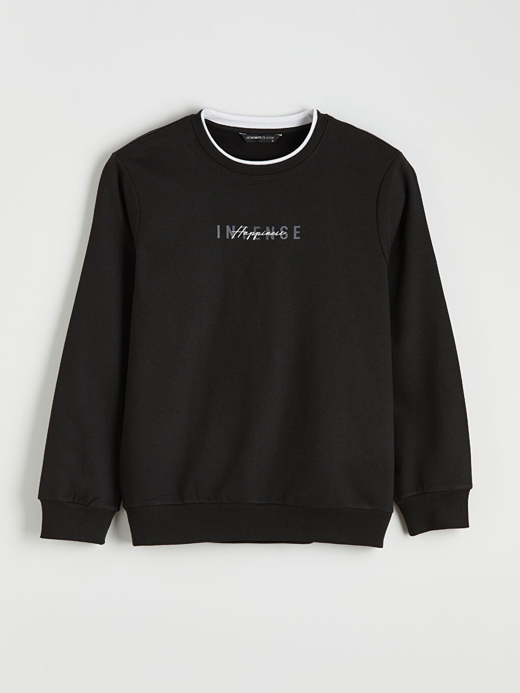 Men's Heavyweight Crew Neck Printed Sweatshirt-4