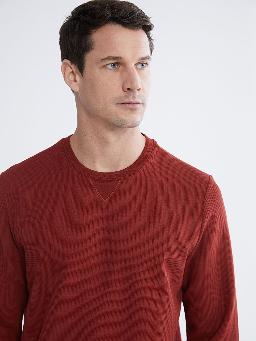 Kahverengi Bisiklet Yaka Erkek Sweatshirt-2