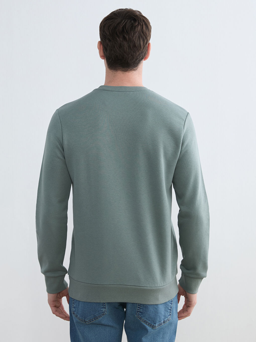 Crew Neck Printed Men's Sweatshirt-3