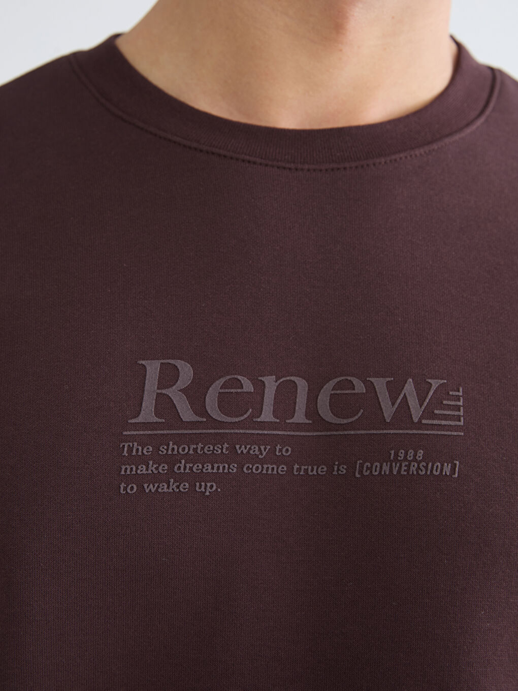 Crew Neck Printed Men's Thick Sweatshirt-2