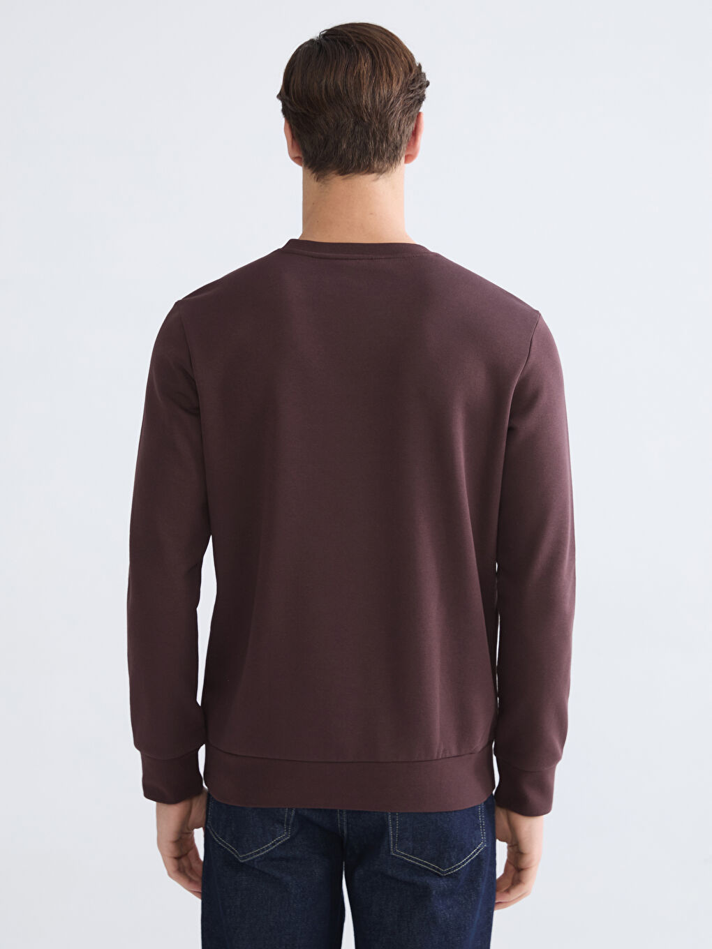 Crew Neck Printed Men's Thick Sweatshirt-3