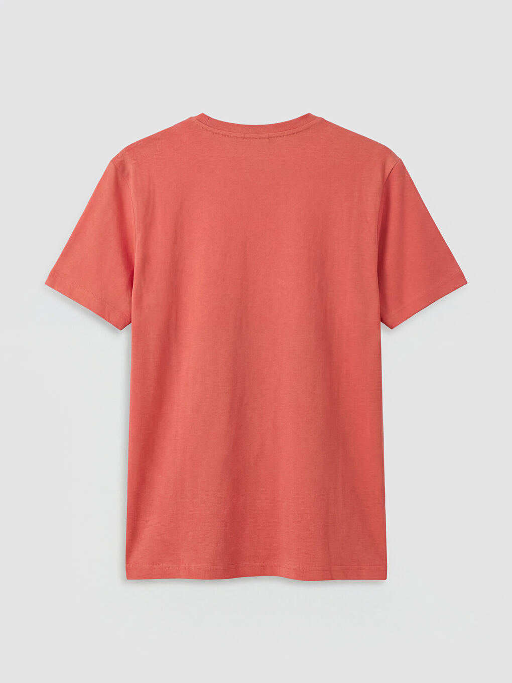 100% Cotton Regular Fit Basic T-Shirt-5