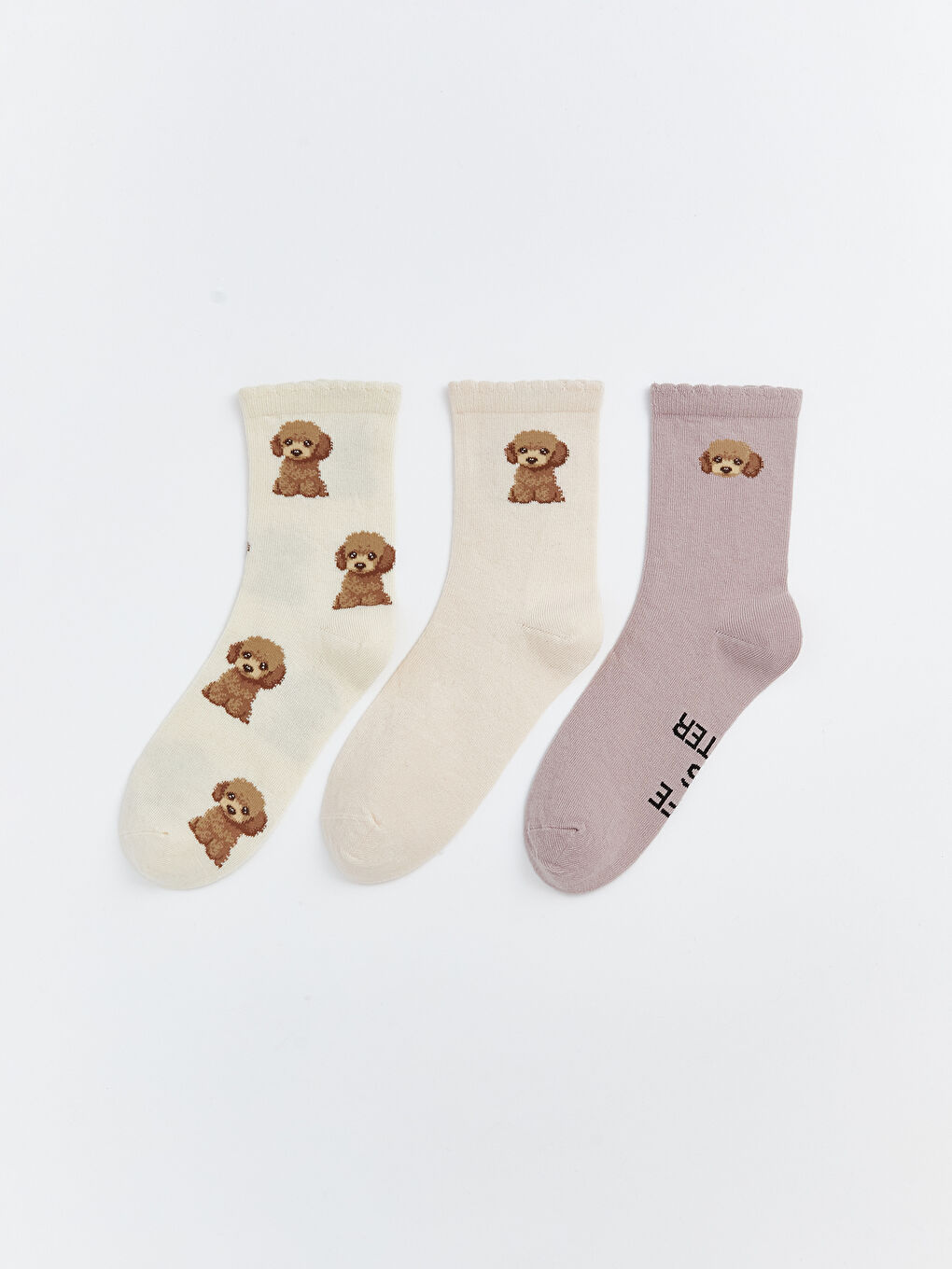 Ekru Köpek Baskılı Kadın Soket Çorap 3'lü