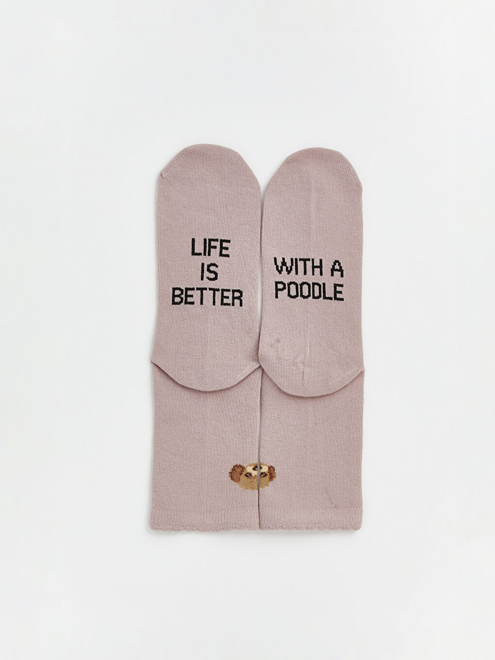 Ekru Köpek Baskılı Kadın Soket Çorap 3'lü-2