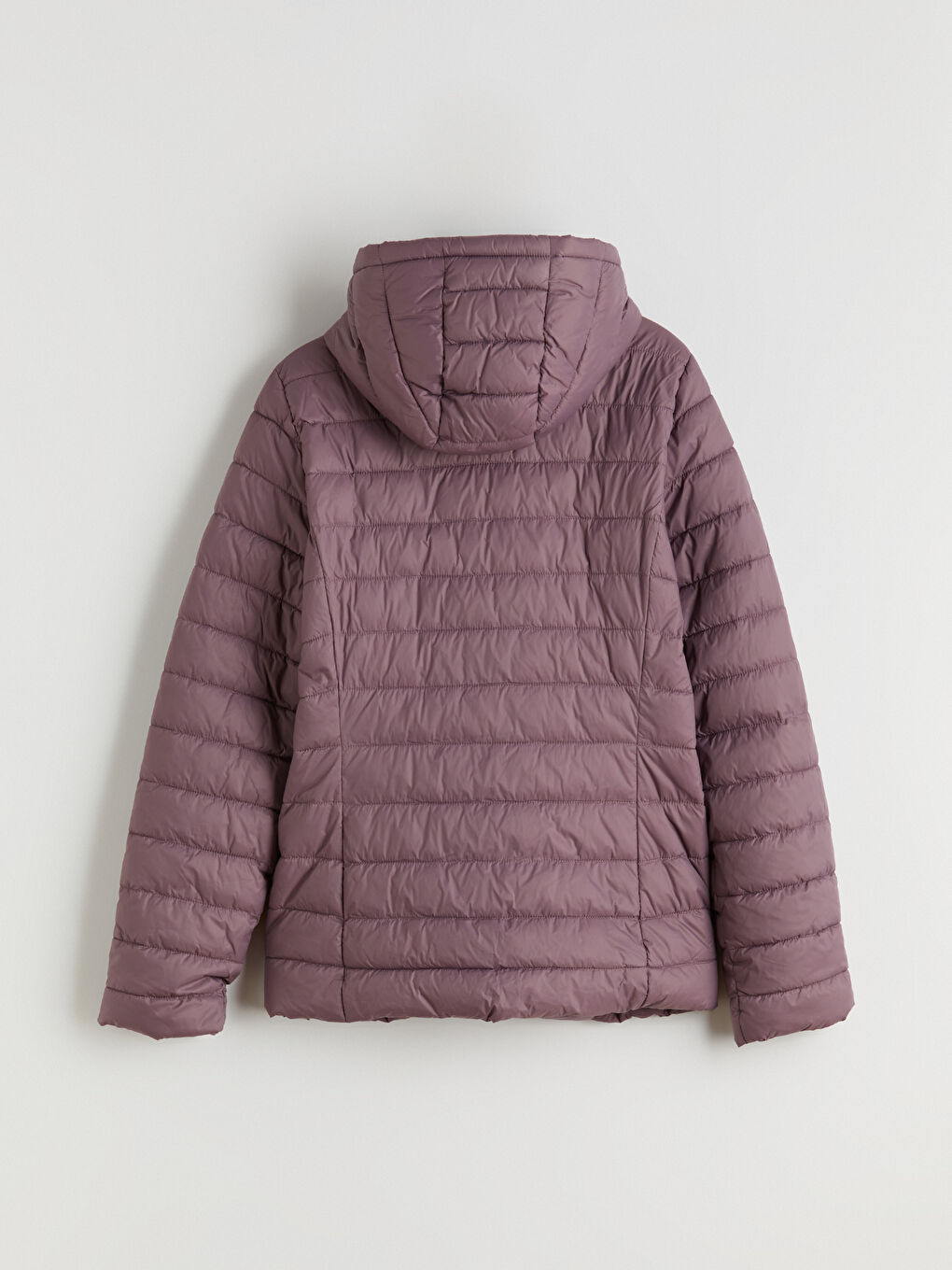 معطف منتفخ بقبّ نساء-6