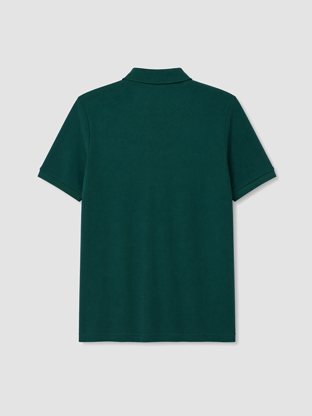 Yeşil Polo Yaka Pike Erkek Tişört-2