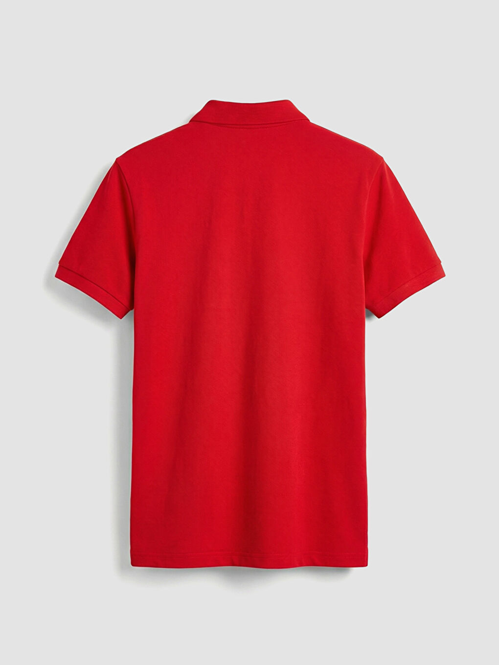 Kırmızı Polo Yaka Pike Erkek Tişört-1