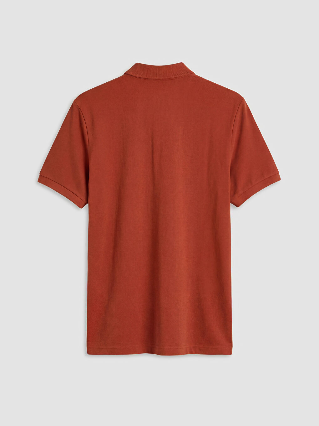 Turuncu Polo Yaka Pike Erkek Tişört-1