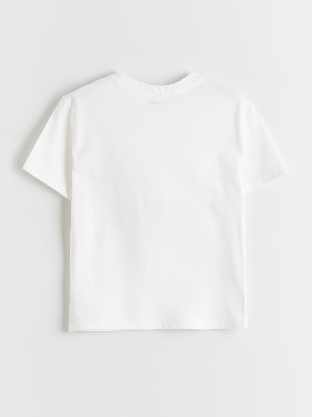 Ekru Dinozor Baskılı Erkek Çocuk Tişört-1